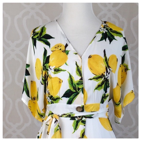 Delilah Loves Lemons Botanical Dress - Picture 6 of 8